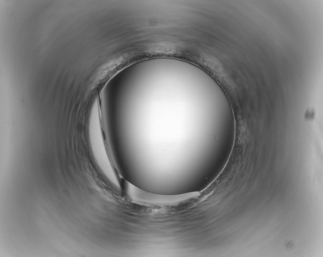 X0000093470068200711021242