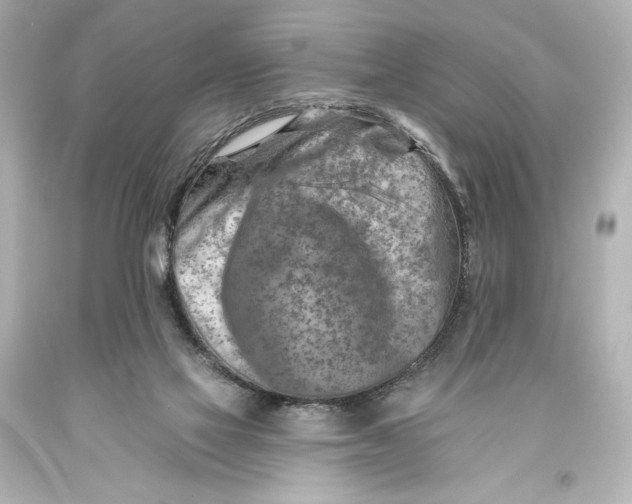 X0000093470069200711021242