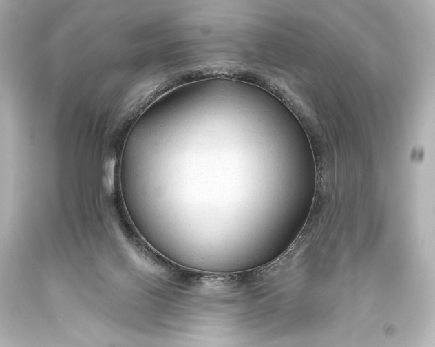 X0000093470070200711021242