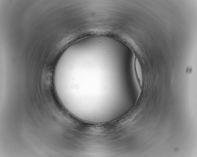 X0000093470071200711021242