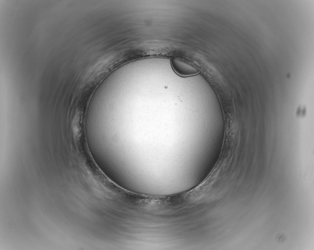 X0000093470074200711021242