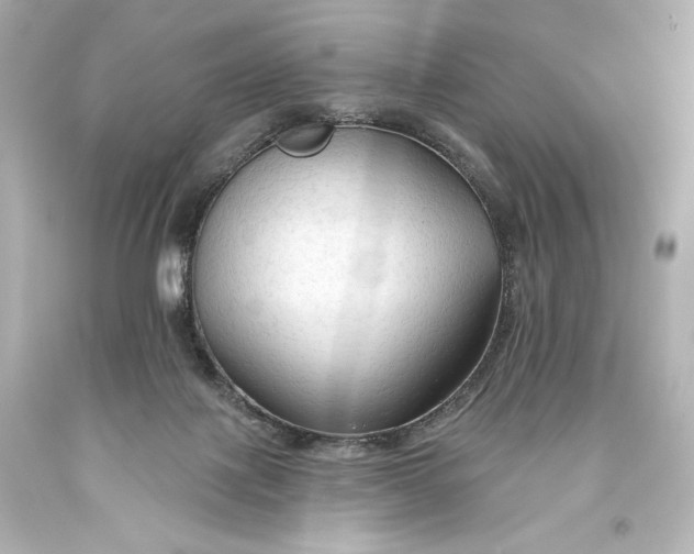 X0000093470075200711021242