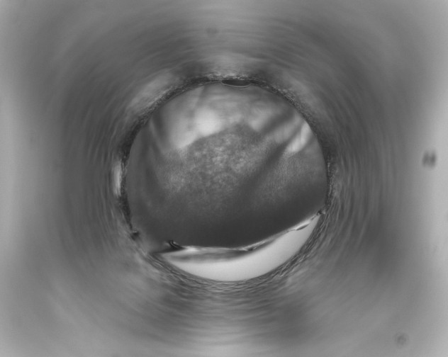 X0000093470076200711021242