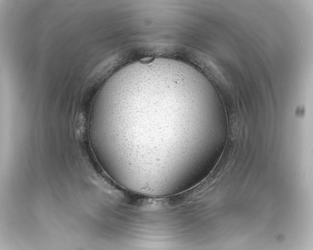 X0000093470077200711021242