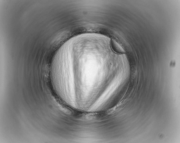 X0000093470078200711021242