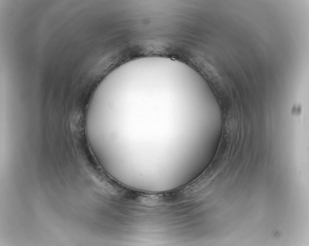 X0000093470079200711021242