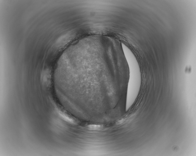 X0000093470080200711021243