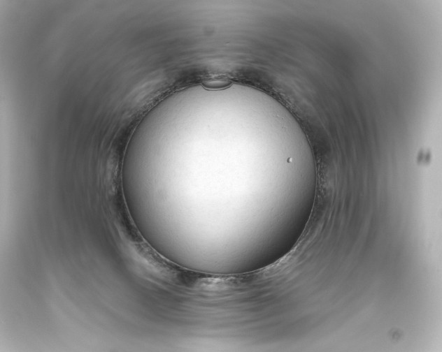 X0000093470082200711021243