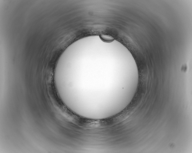 X0000093470083200711021243