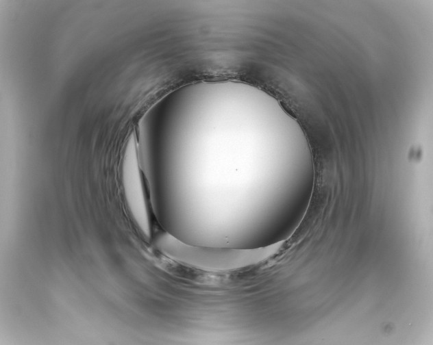 X0000093470084200711021243