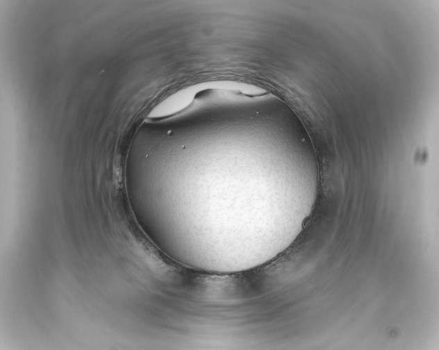 X0000093470085200711021243