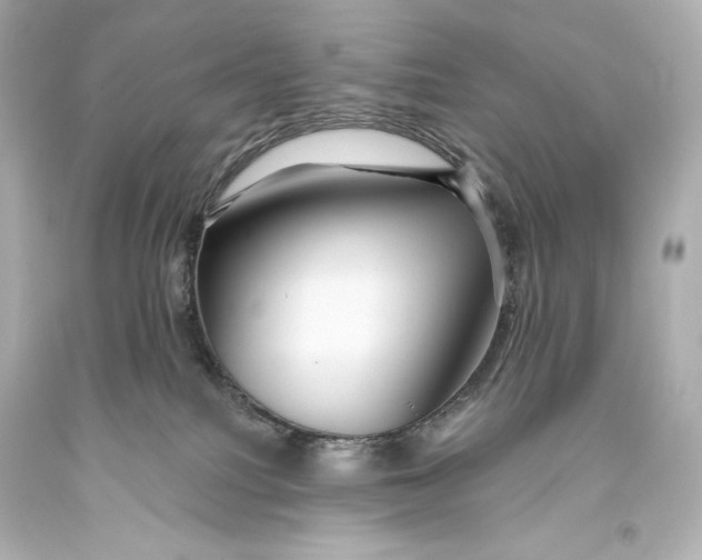 X0000093470088200711021243