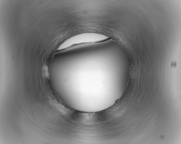 X0000093470089200711021243