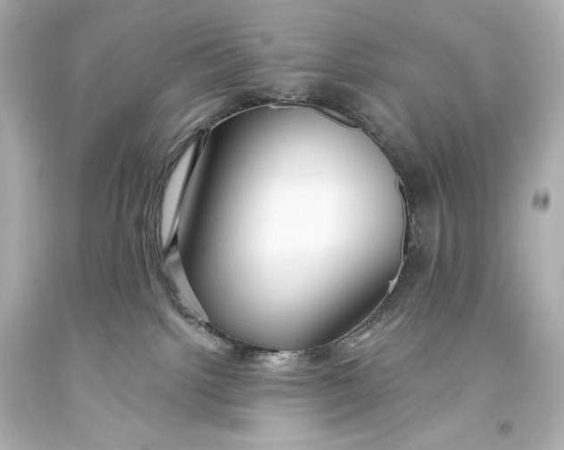 X0000093470092200711021243