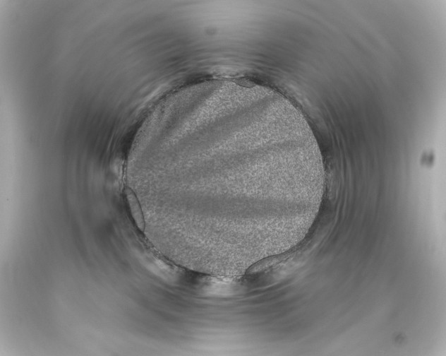 X0000093470093200711021243