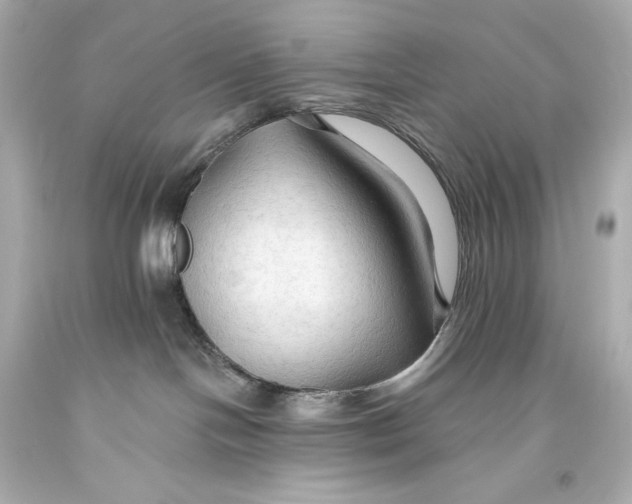 X0000093470094200711021243