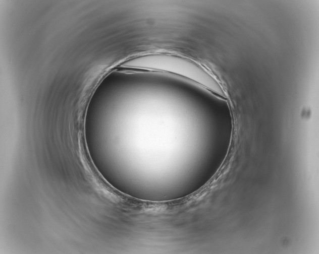 X0000093470097200711021242