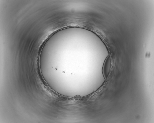 X0000093470098200711021242