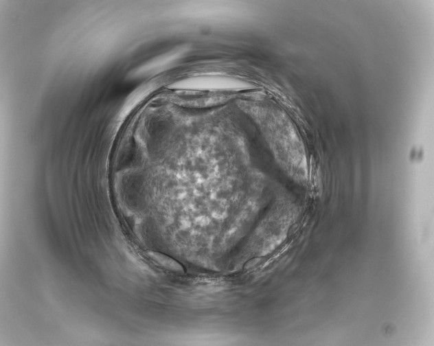 X0000093470099200711021242