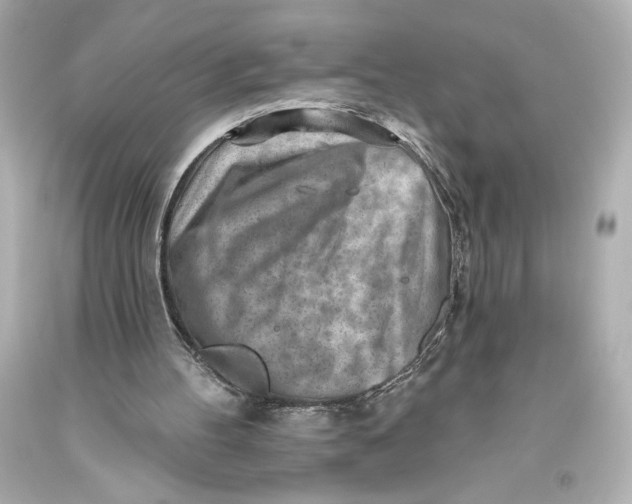 X0000093470100200711021242