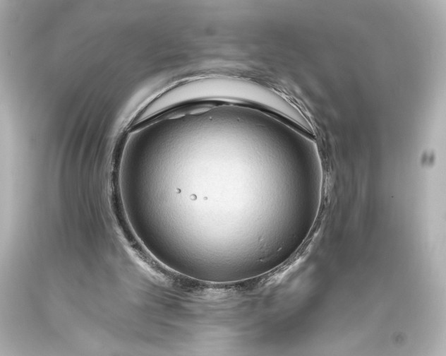 X0000093470101200711021242