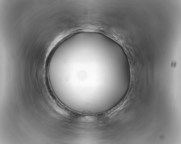 X0000093470102200711021242