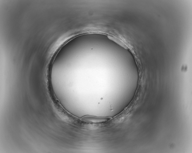 X0000093470103200711021242