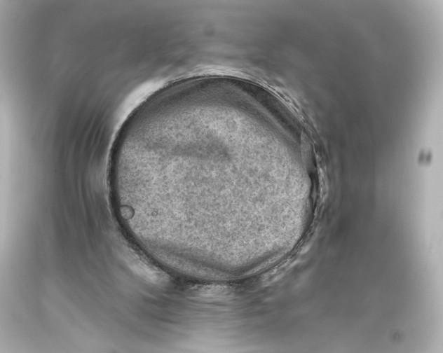 X0000093470104200711021242