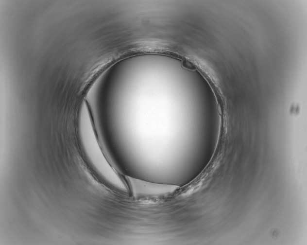 X0000093470105200711021242