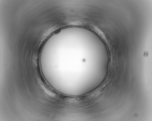 X0000093470106200711021242