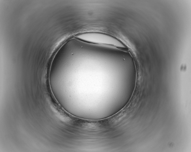 X0000093470107200711021242