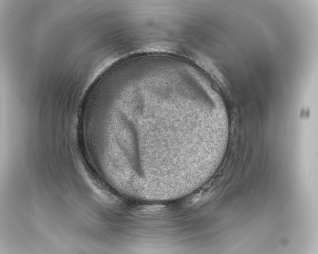 X0000093470108200711021242