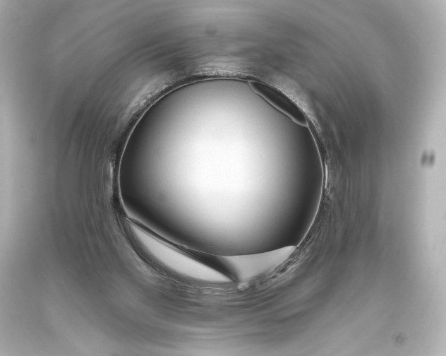 X0000093470109200711021242