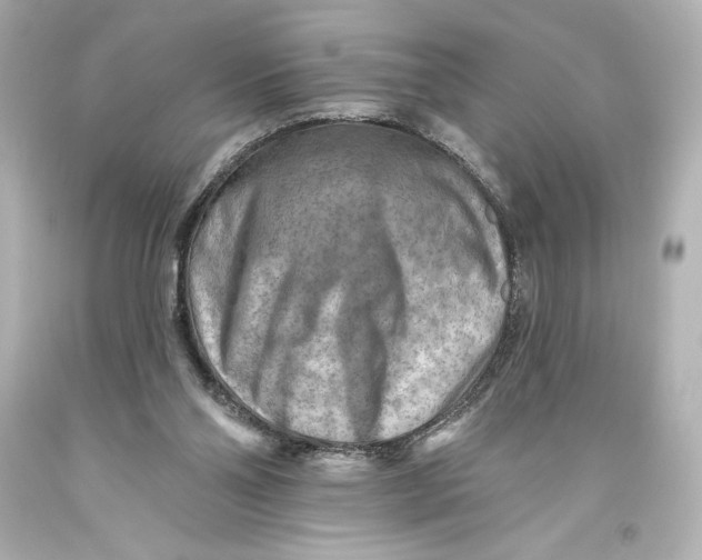 X0000093470110200711021242