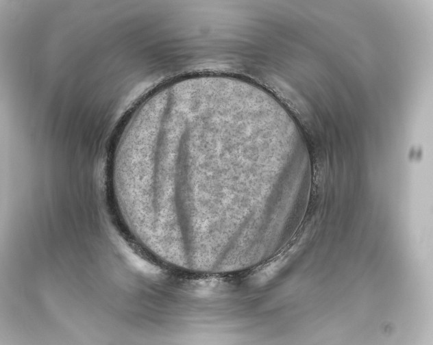 X0000093470112200711021242