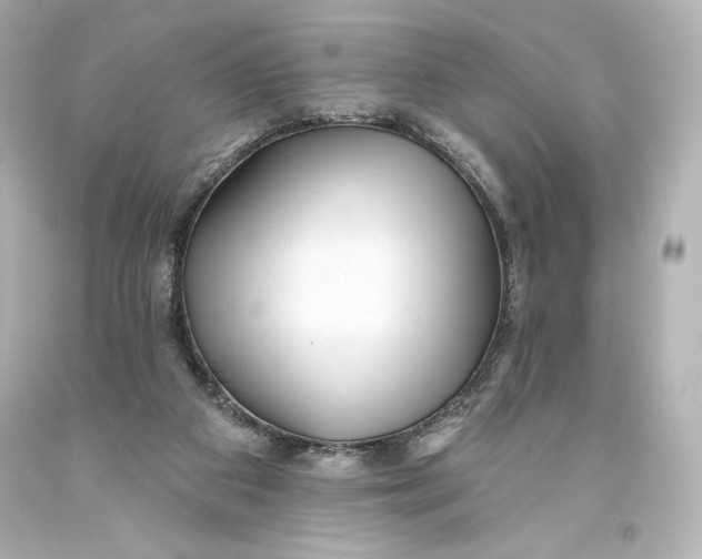 X0000093470113200711021242