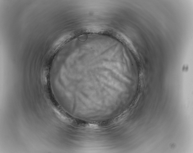 X0000093470114200711021242