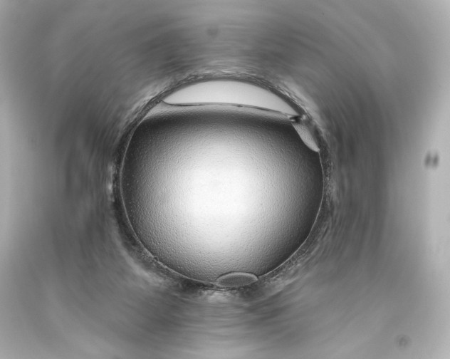 X0000093470115200711021242