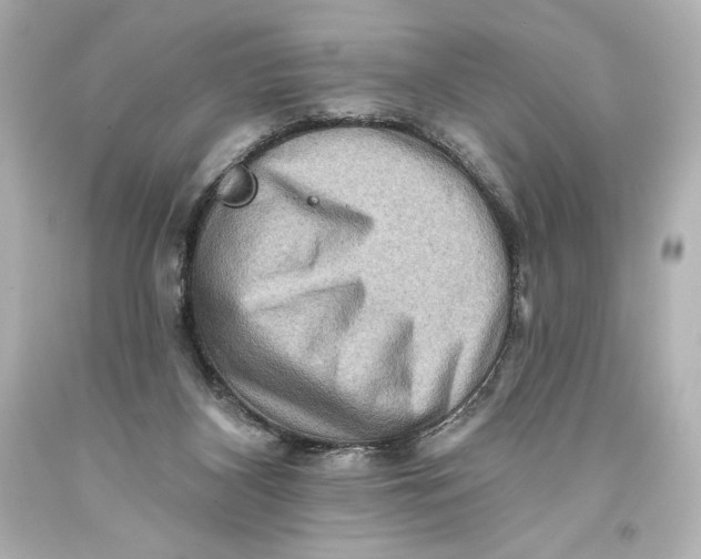 X0000093470116200711021242