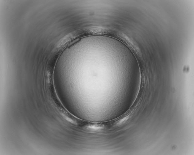 X0000093470117200711021242