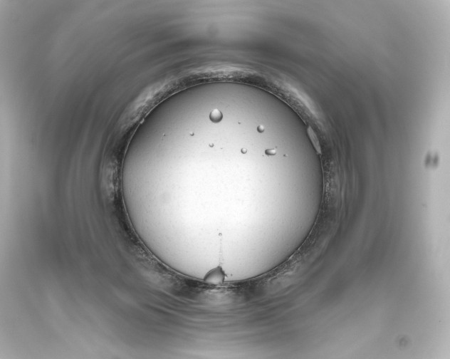 X0000093470119200711021242