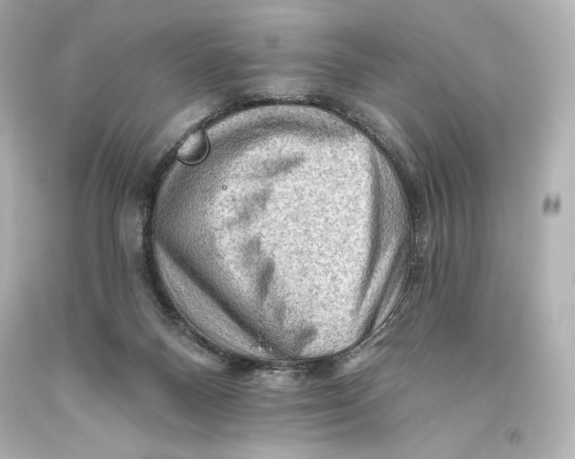 X0000093470120200711021242