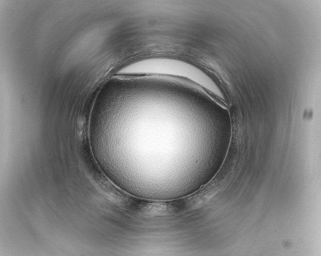 X0000093470123200711021242