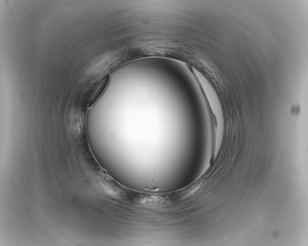 X0000093470125200711021242