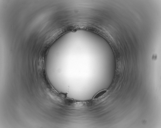 X0000093470126200711021242