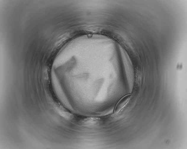 X0000093470128200711021242