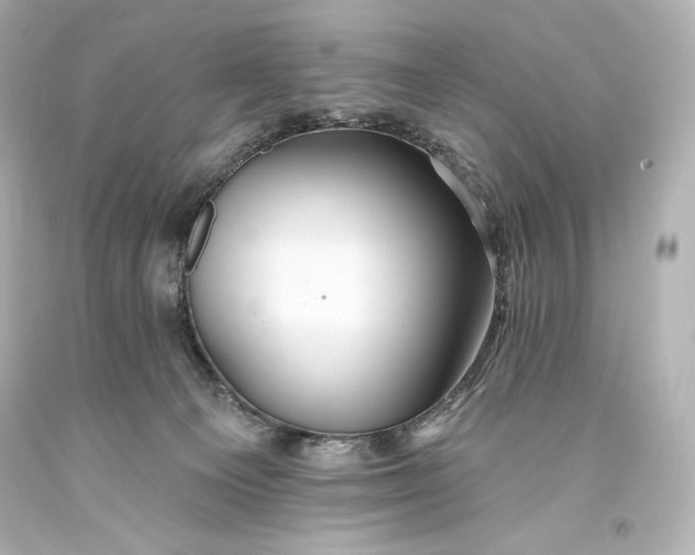 X0000093470129200711021242