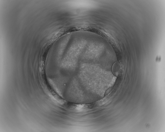 X0000093470130200711021242