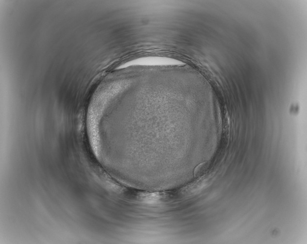 X0000093470131200711021242