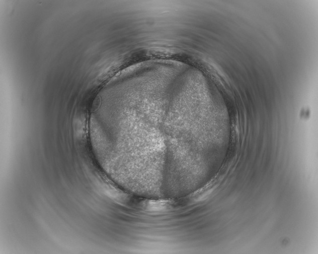 X0000093470134200711021241